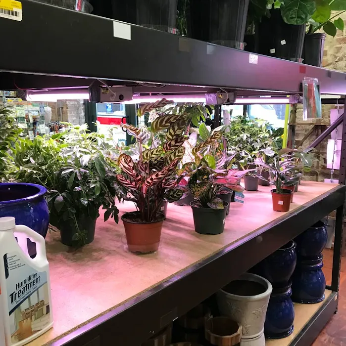 Woods Hardware 7