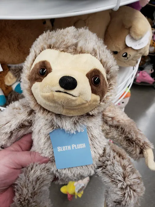Five Below 0