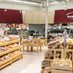 Meijer ico