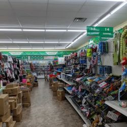 Dollar Tree ico