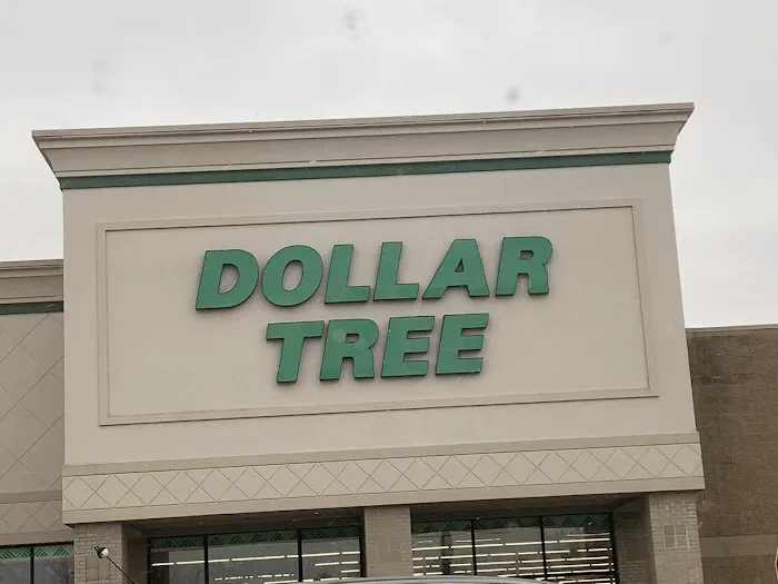 Dollar Tree 6