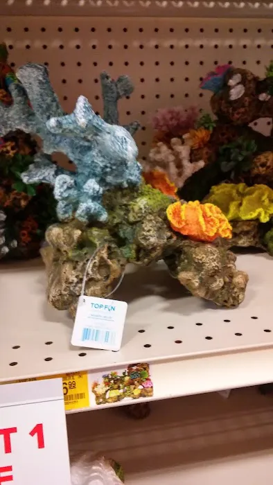 Dollar Tree 9