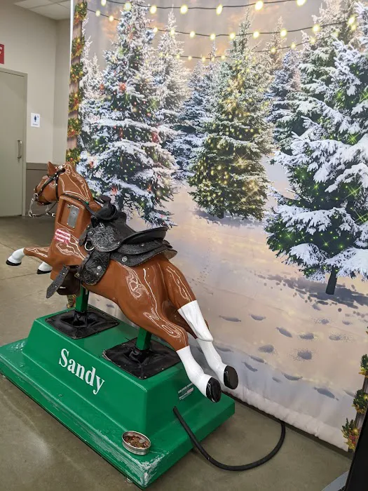 Meijer 1