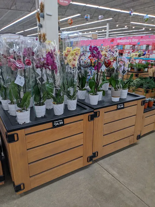 Meijer 0