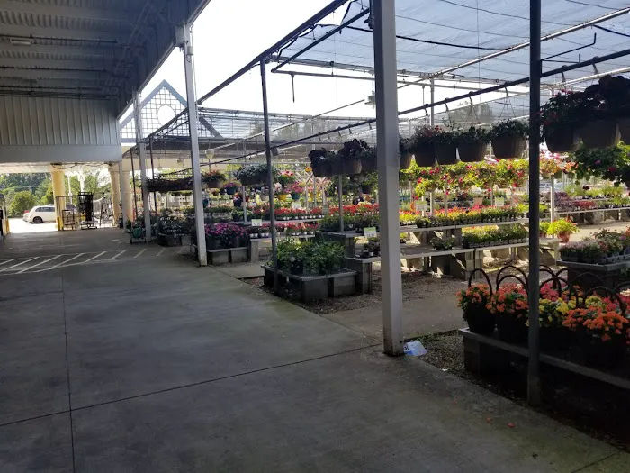 Meijer 2