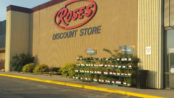 Roses Discount Store 1