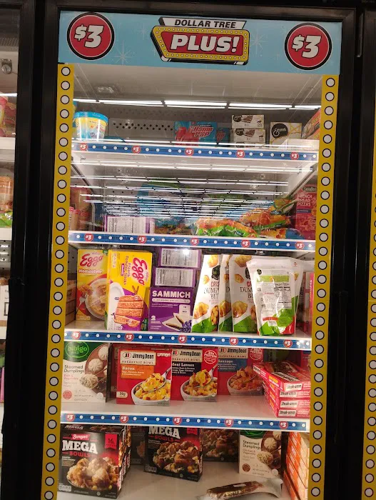 Dollar Tree 4