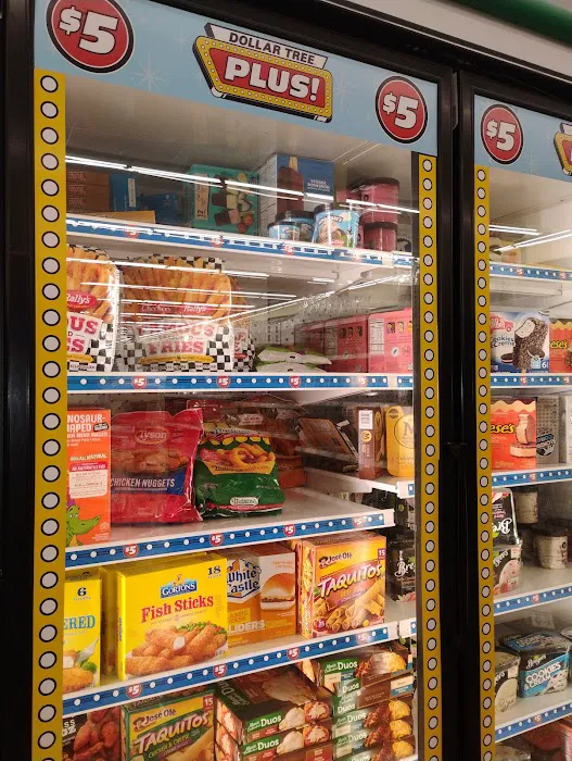 Dollar Tree 1