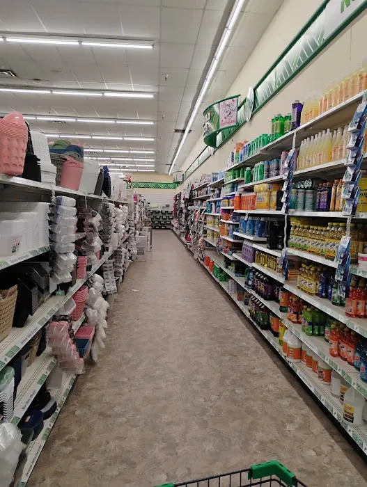 Dollar Tree 2