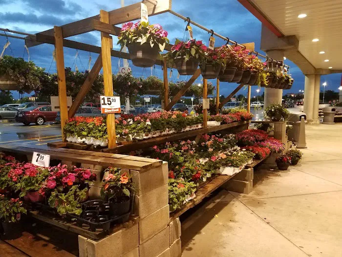 Meijer 6