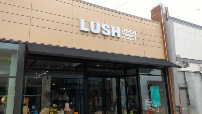 Lush Cosmetics Hilldale - Madison 7