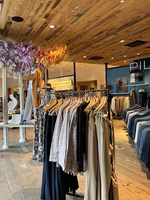 Anthropologie 3
