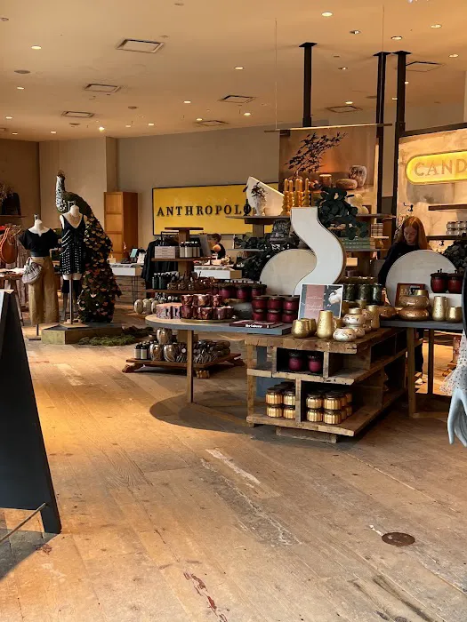Anthropologie 5
