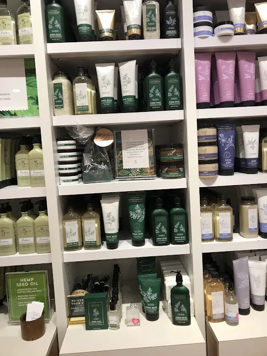 Bath & Body Works 6