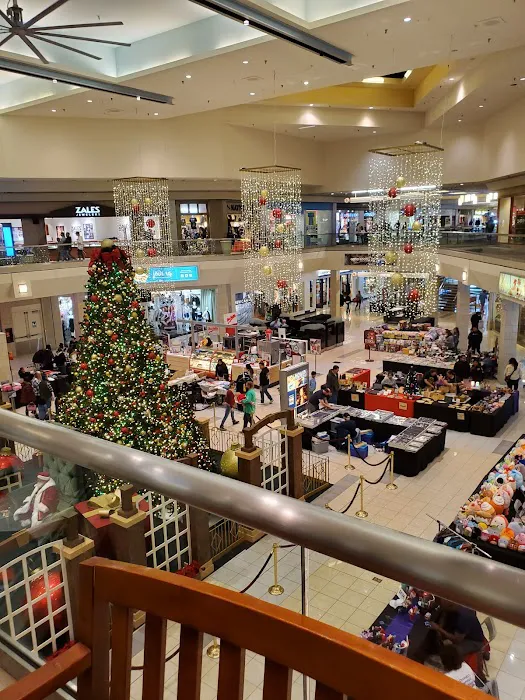 Macy's 6