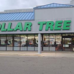 Dollar Tree ico