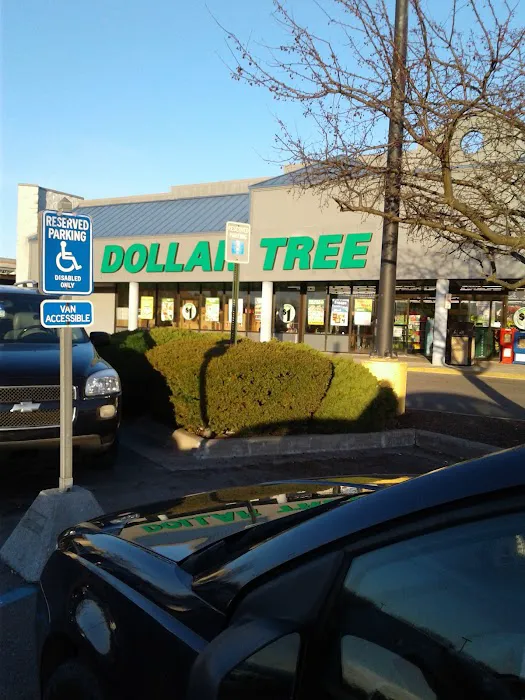 Dollar Tree 7