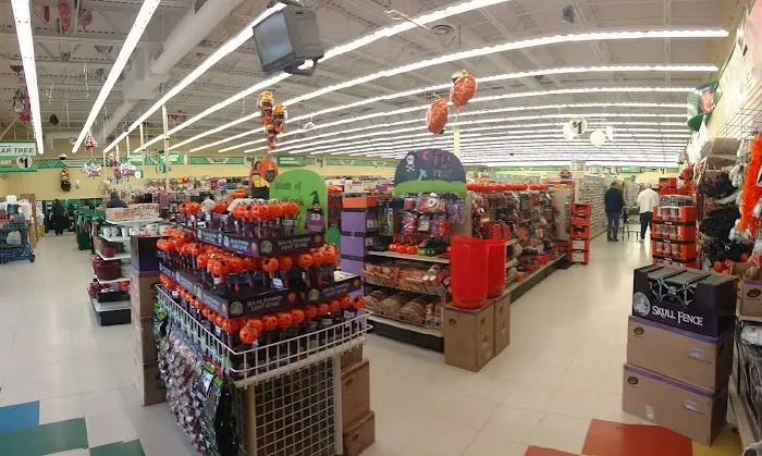 Dollar Tree 1