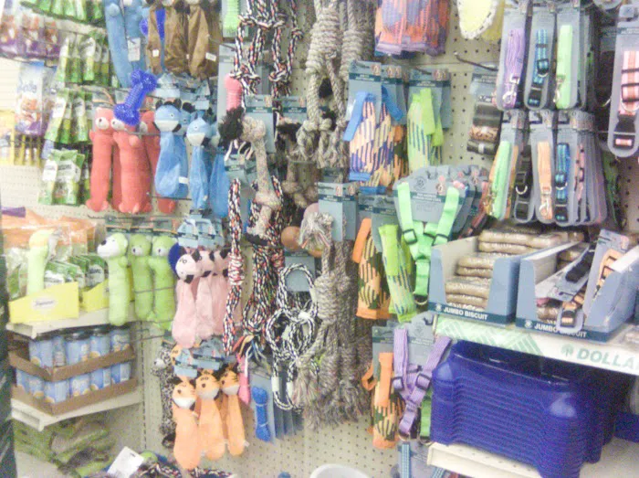 Dollar Tree 8