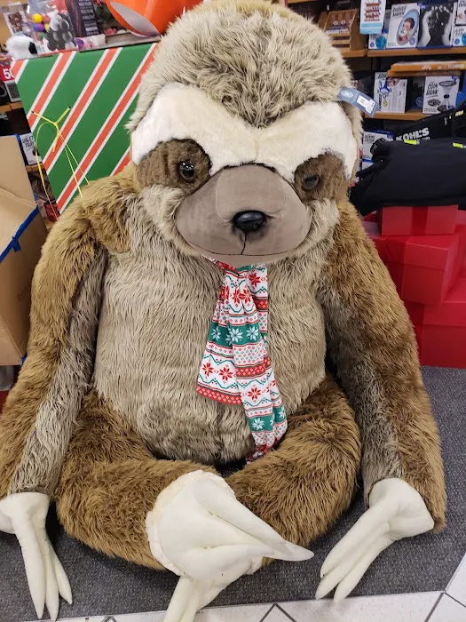 Kohl's 9