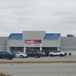 bealls ico