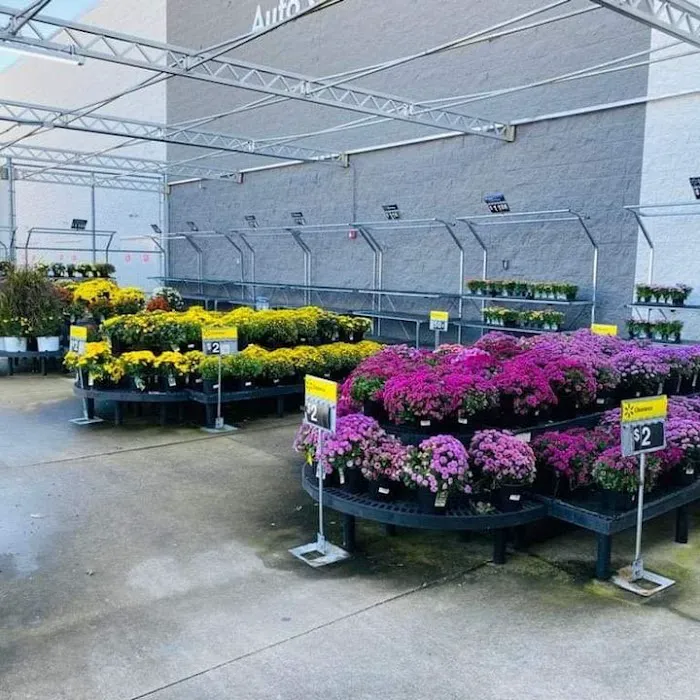 Walmart Supercenter 4