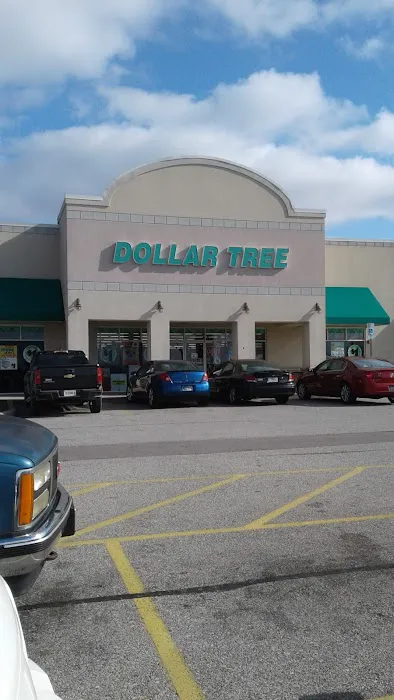 Dollar Tree 4