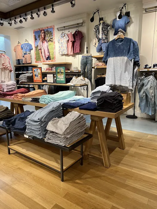 American Eagle 5