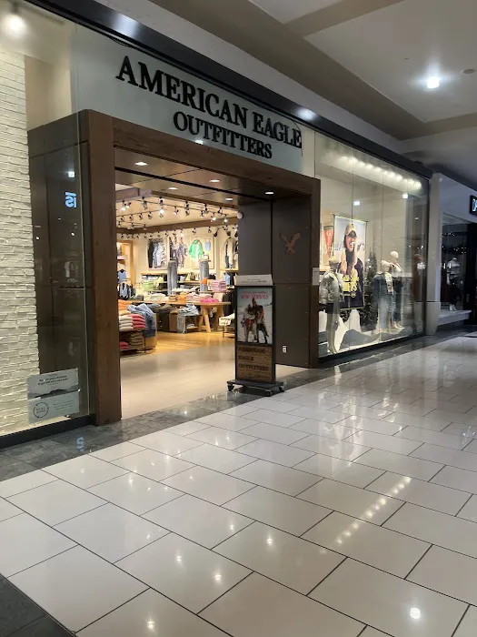 American Eagle 6