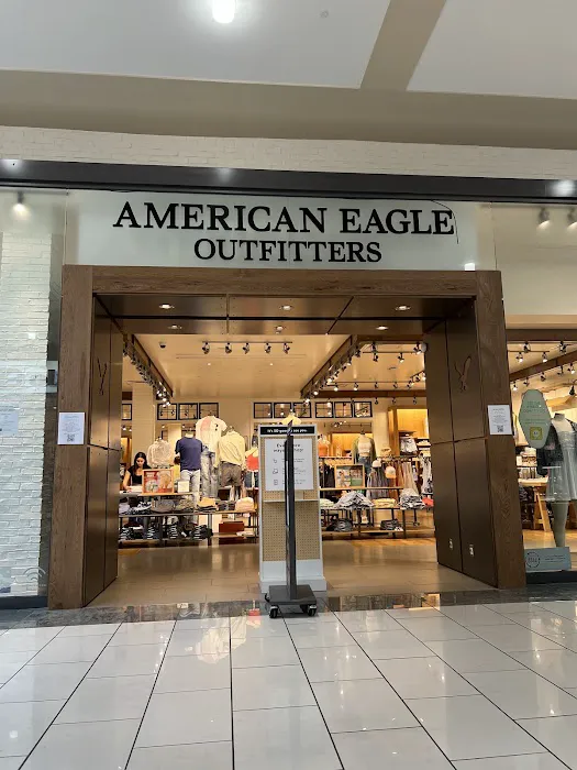 American Eagle 2