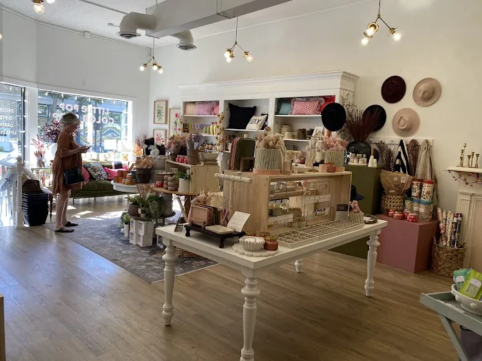 Little Pop Color Shop 1