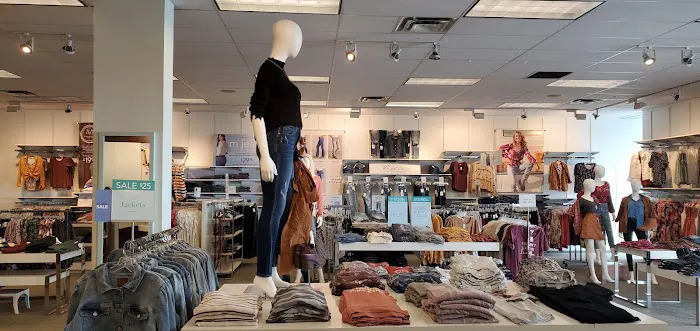 Maurices 6
