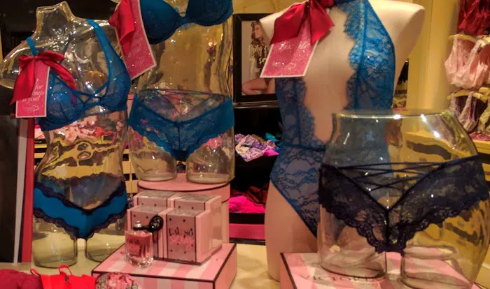 Victoria's Secret & PINK by Victoria's Secret 2