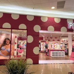 Victoria's Secret & PINK by Victoria's Secret ico