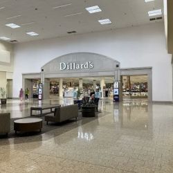Dillard's ico