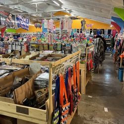 Flea Land ico