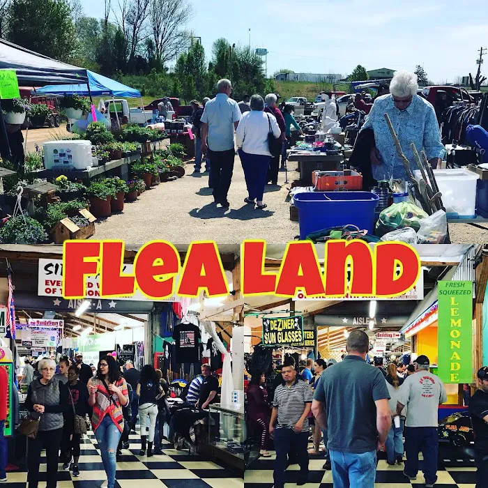 Flea Land 8