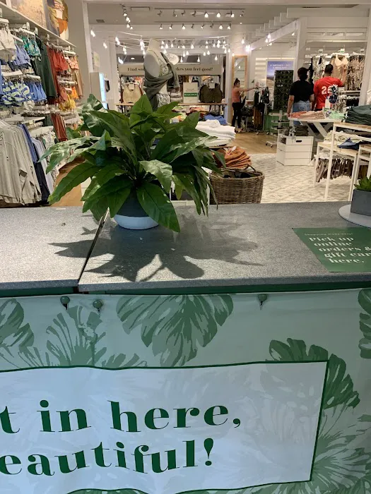 American Eagle & Aerie 4