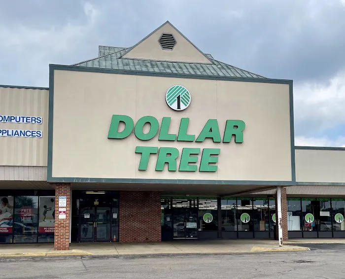 Dollar Tree 6