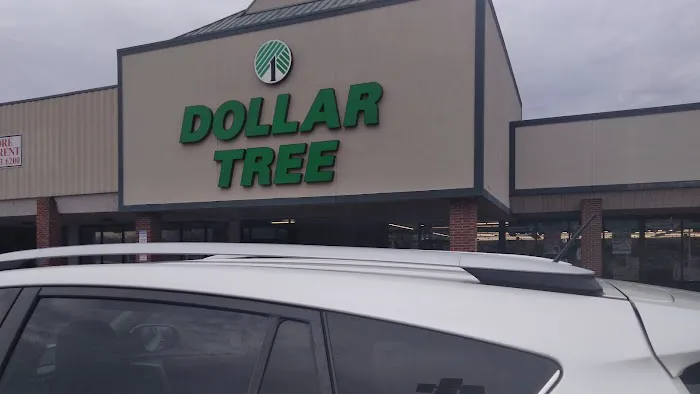 Dollar Tree 1