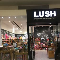 Lush Cosmetics The Mall at Green Hills ico