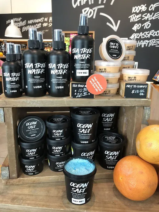 Lush Cosmetics The Mall at Green Hills 2