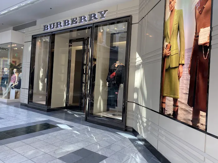 Burberry 3