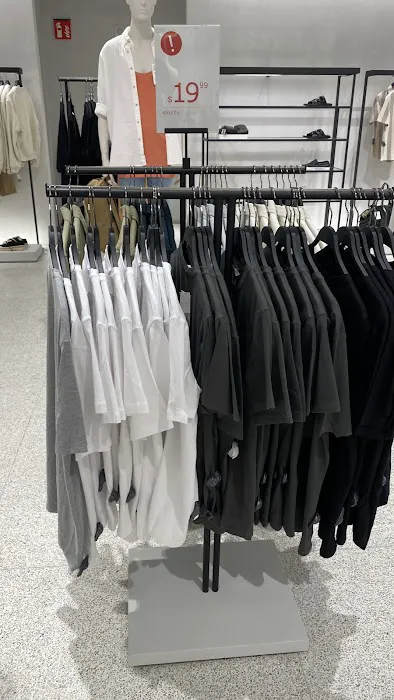 ZARA 8