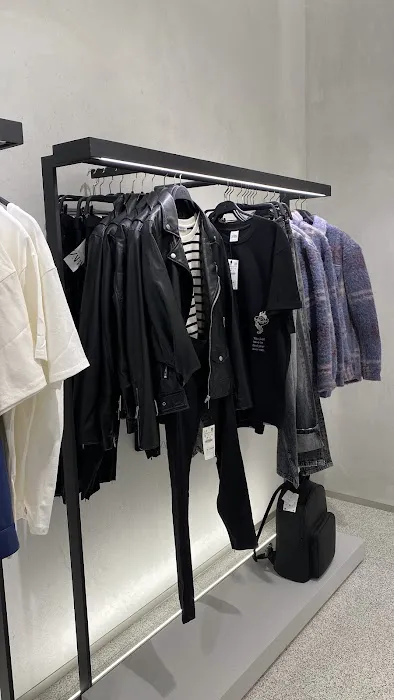 ZARA 3