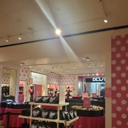 Victoria's Secret & PINK by Victoria's Secret ico