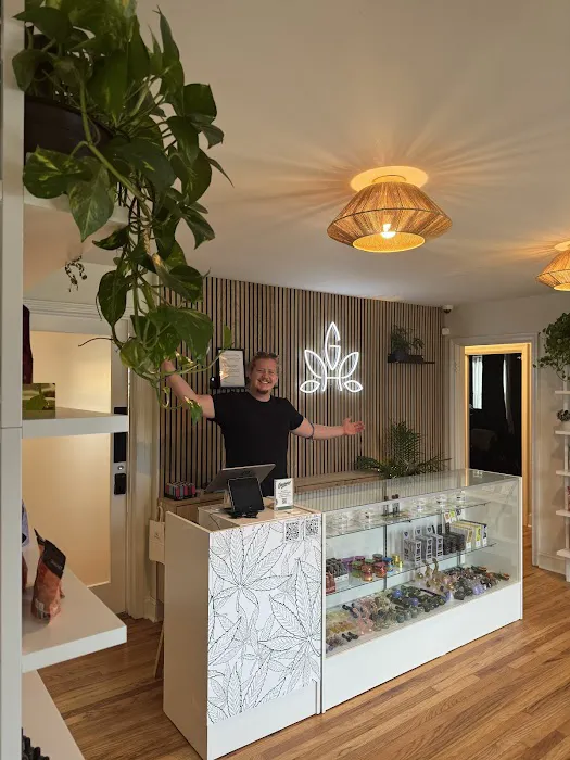 Gras Haus Boutique Cannabis Dispensary & Apothecary 2