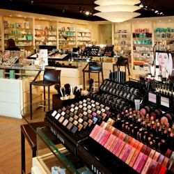 Woo Skin Care & Cosmetics ico