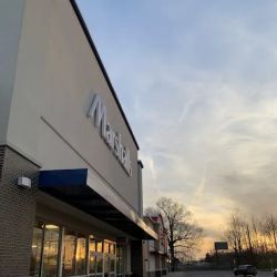 Marshalls ico