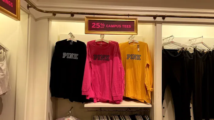 PINK by Victoria's Secret 7